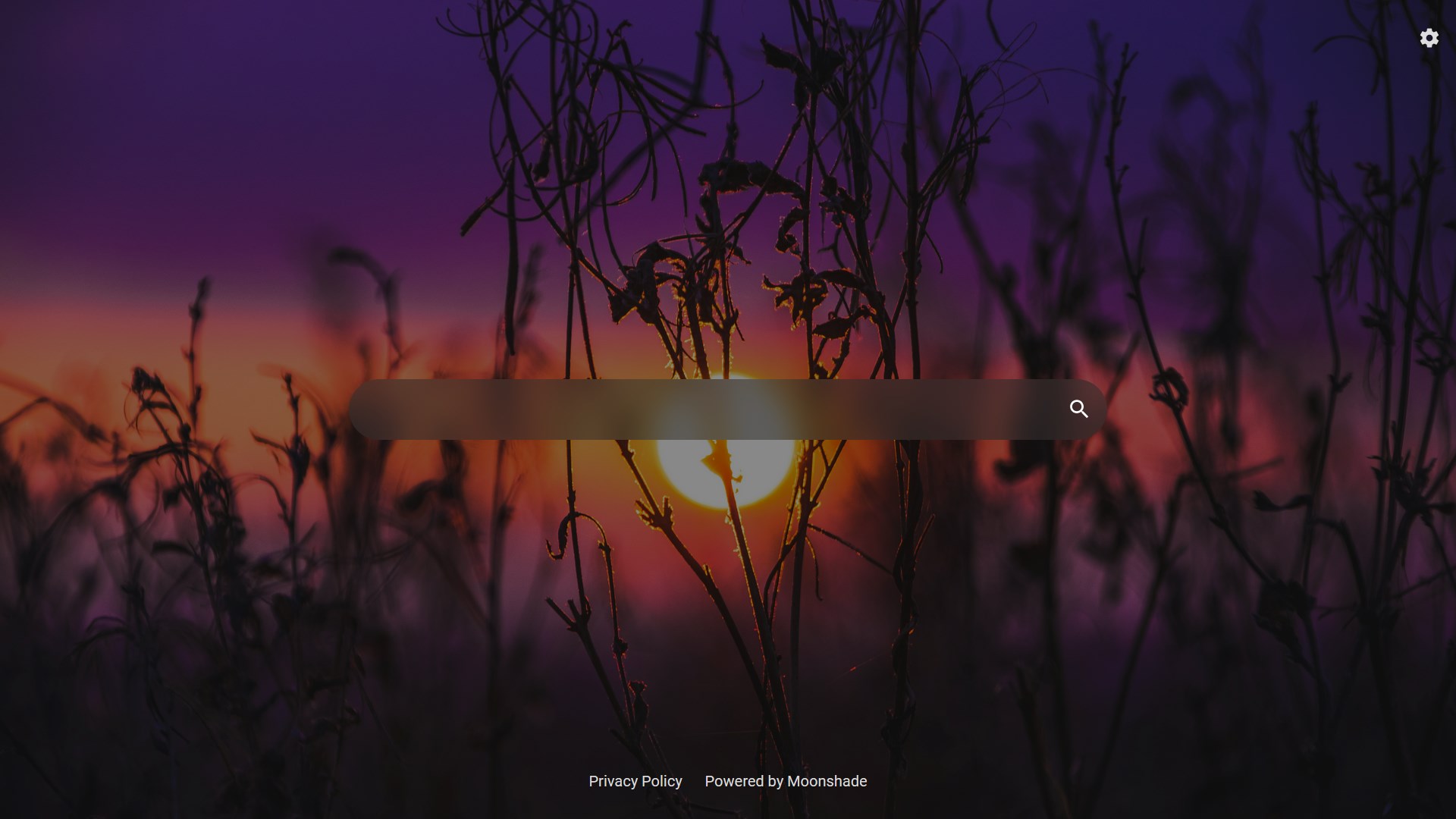 Screenshot of the IDK.SH homepage with only the searchbar being shown.